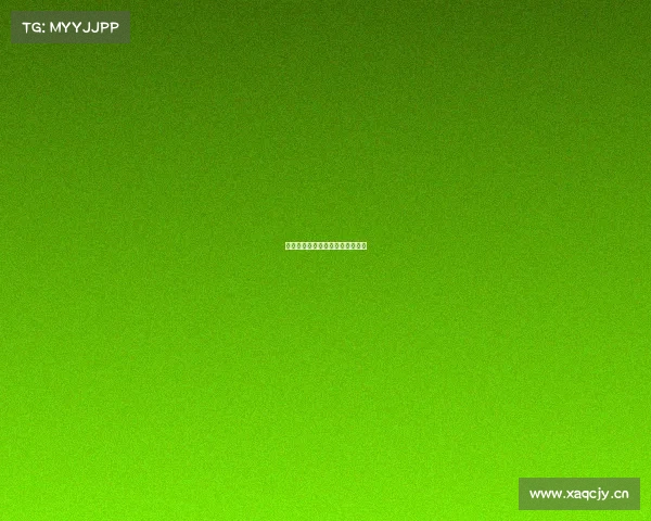 电子竞技职业技能认证的破局之路